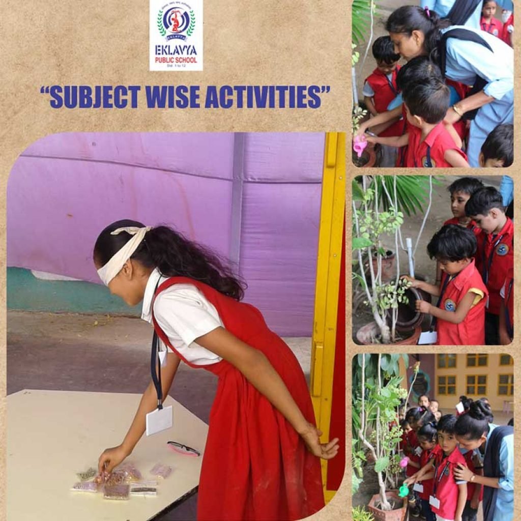 Glimpses of subject wise activities