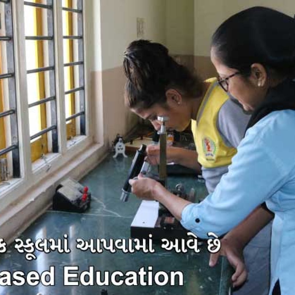 એકલવ્ય પબ્લિક સ્કૂલમાં આપવામાં આવે છે Skill based education