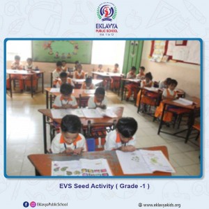 EVS Seed Activity ( Grade -1 )