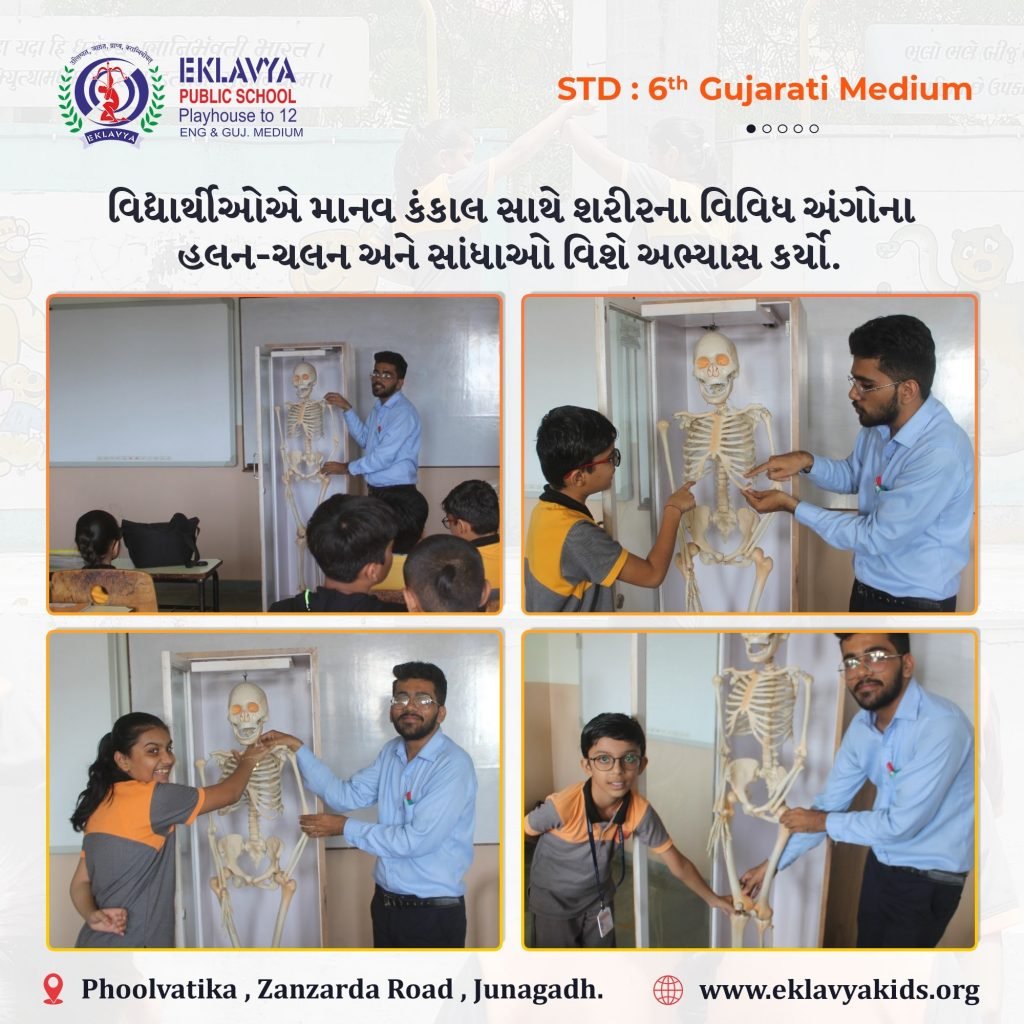 માનવ કંકાલનો અભ્યાસ